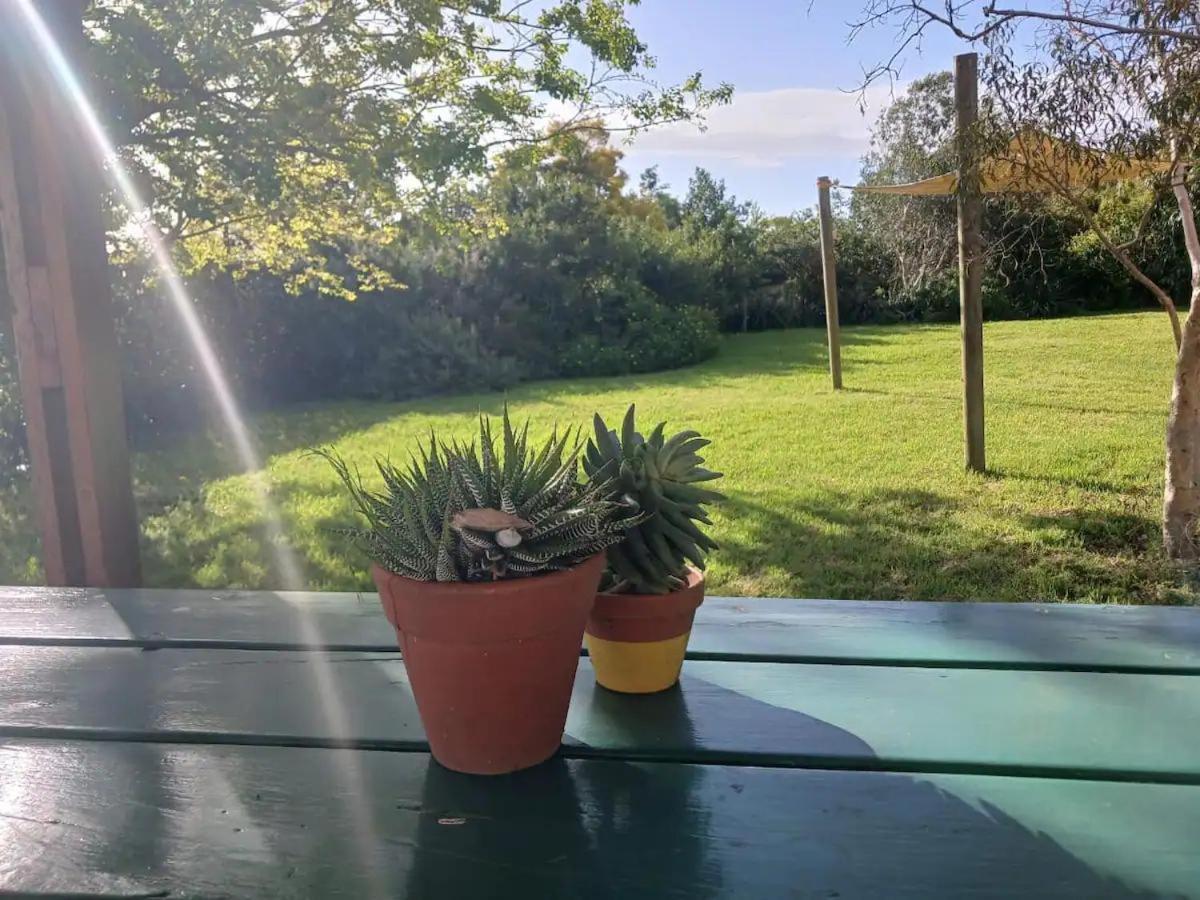 Arkelshoek Cottages Stellenbosch Eksteriør billede